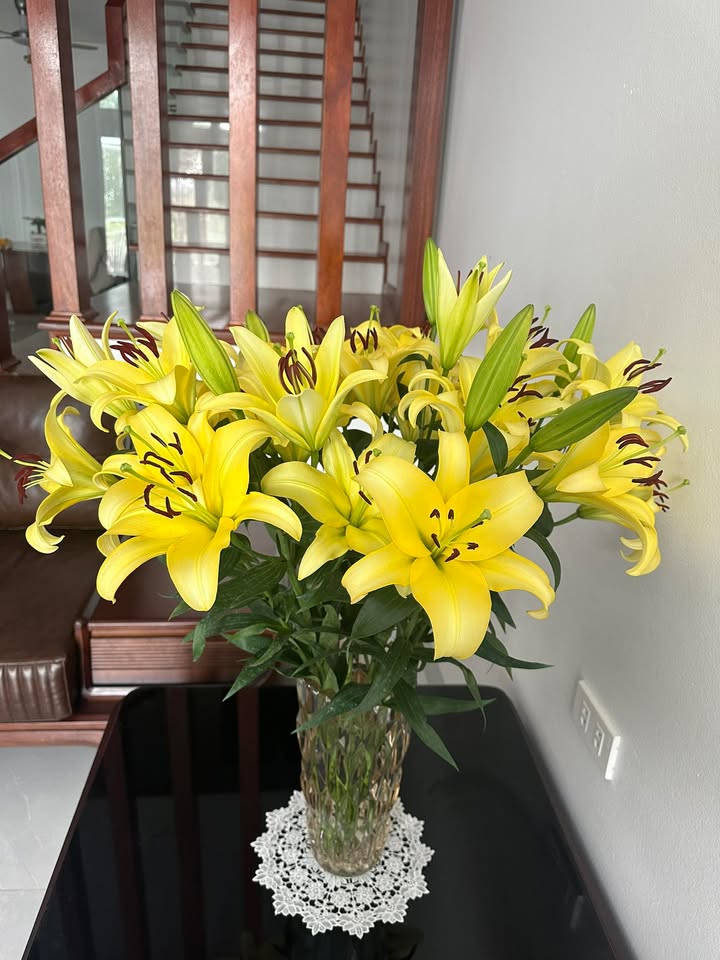 Đất Phúc Chỉnh – Nam Thành 54m² giá 3 tỷ - Đường thông thoáng, ô tô vào tận nơi!