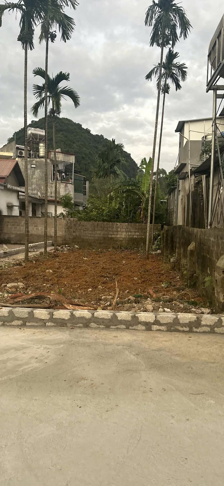 Đất nền dân cư hiện hữu Tổ 20, Nam Sơn, Tam Điệp 112m² - Giá chỉ 790 triệu