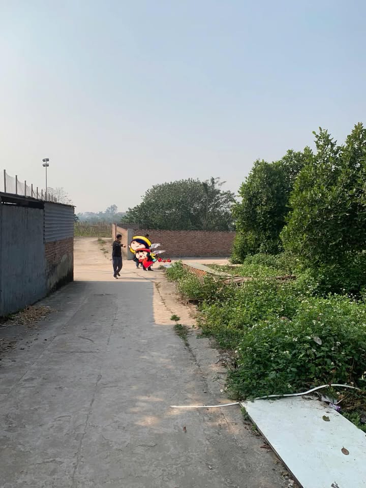 Đất nền lô góc 48,3m² tại Vân Côn, Hoài Đức - Giá 3,65 tỷ, vị trí đắc địa!