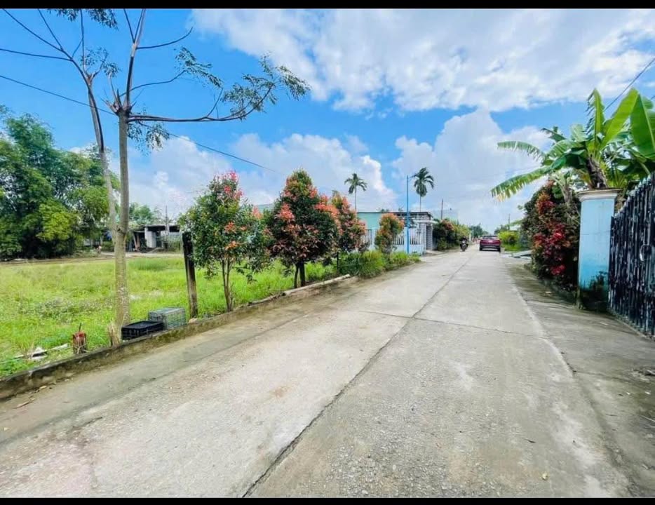 Đất nền 124m² Thôn Phong Nam, Hòa Xuân - Giá chỉ 2 tỷ - Sổ đỏ chính chủ!