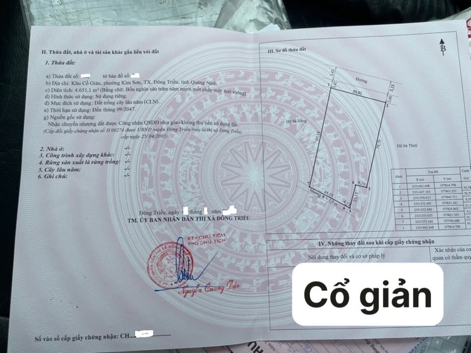 Đất vườn 4651m² tại Kim Sơn, Đông Triều - Giá đầu tư hấp dẫn!