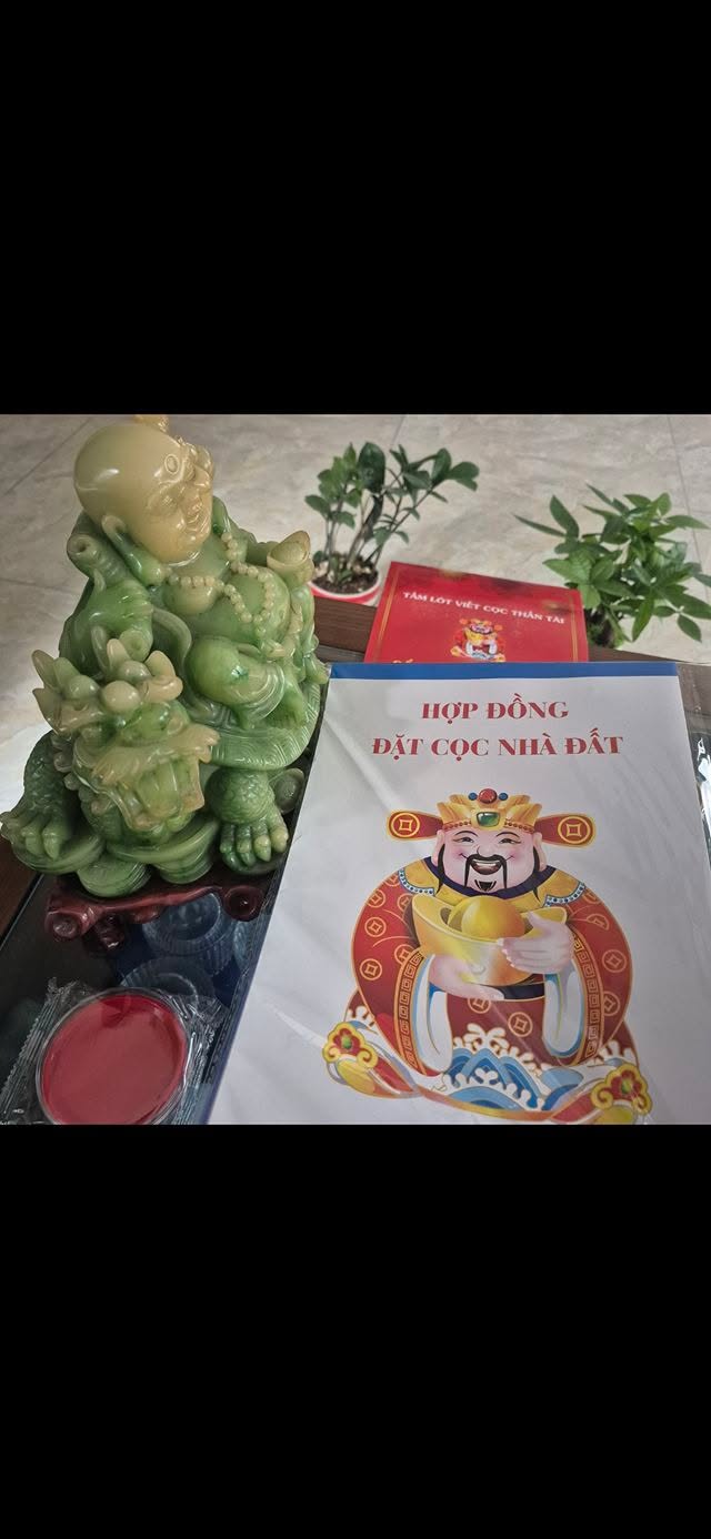 Nhà 3.5 tầng dự án Cao Thắng, Hạ Long 63.8m² giá 8 tỷ - Đầu tư sinh lời tốt!