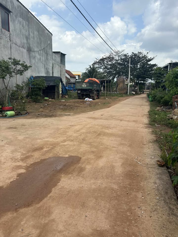 Đất nền Phú Ninh Tây - Mỹ Lợi - Phù Mỹ - 125m² - Cơ hội đầu tư tuyệt vời!