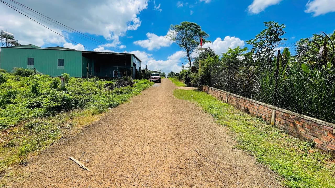 Đất nền Đồi Thông, TP Quy Nhơn 100m² giá 700 triệu - Sổ hồng chính chủ!