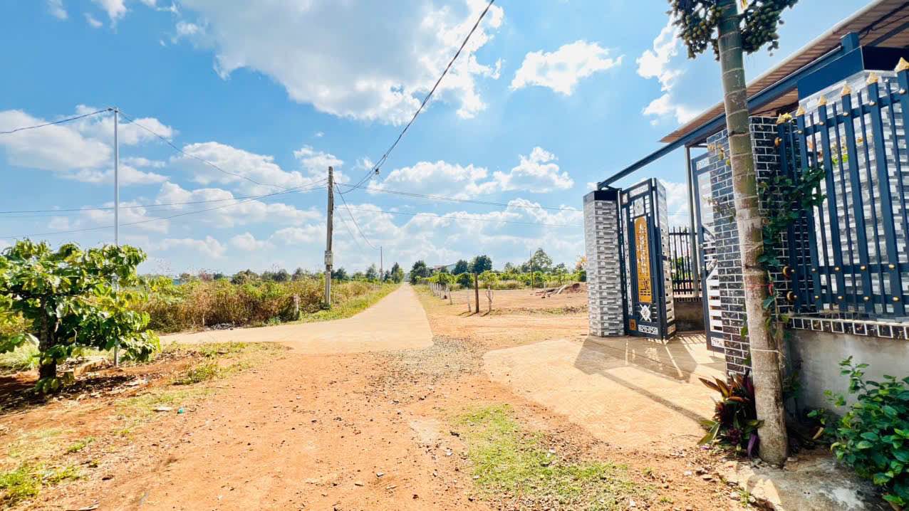 Đất hẻm 104 Trần Văn Ơn 300m² giá 730 triệu - Cơ hội đầu tư hiếm có!