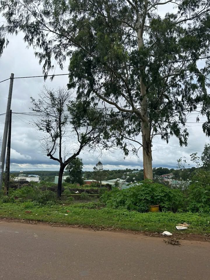 Đất mặt tiền Hoàng Sa, Pleiku 400m² giá 3.2 tỷ - Thích hợp kinh doanh