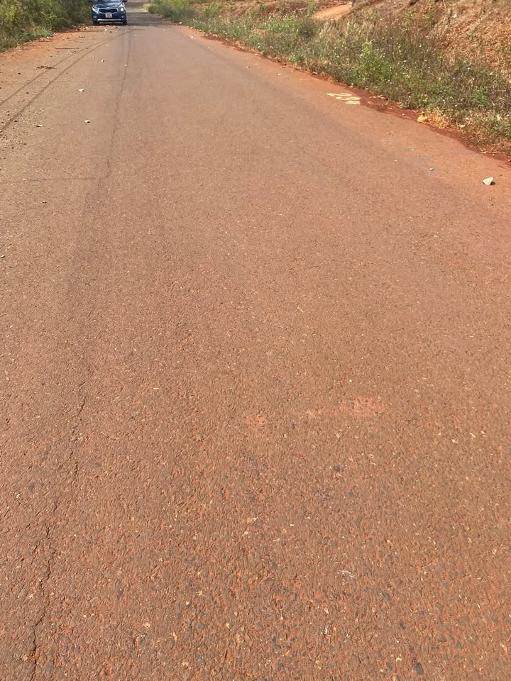 Đất nền Trà Bá, Pleiku 230m² giá 50 triệu - Đường nhựa 6m, dân cư sầm uất!