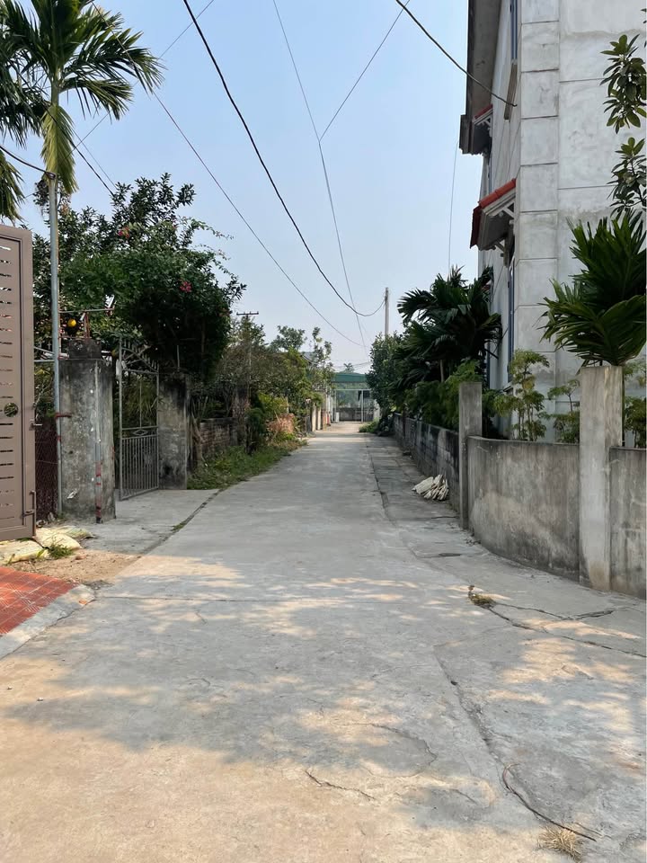 Đất nền Khai Thái - Phú Xuyên 45m² giá 1 tỷ - Ô tô vào tận đất!