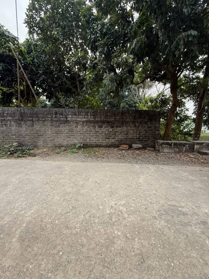 Đất nền Yên Sơn, Tam Điệp 200m² chỉ 1.3 tỷ - Đầu tư sinh lời ngay!