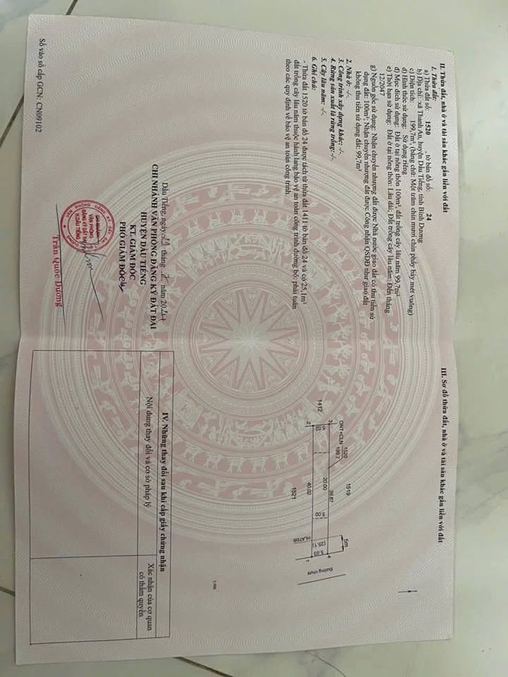 Đất thổ cư 200m² tại xã Thạnh An, Cần Giờ - Giá chỉ 650 triệu