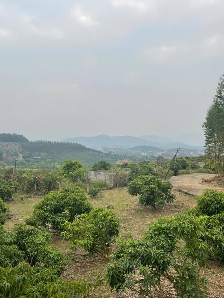 Farm nghỉ dưỡng Tân Mộc Lục Ngạn 4772m² giá 1.6 tỷ - Chính chủ bán gấp!