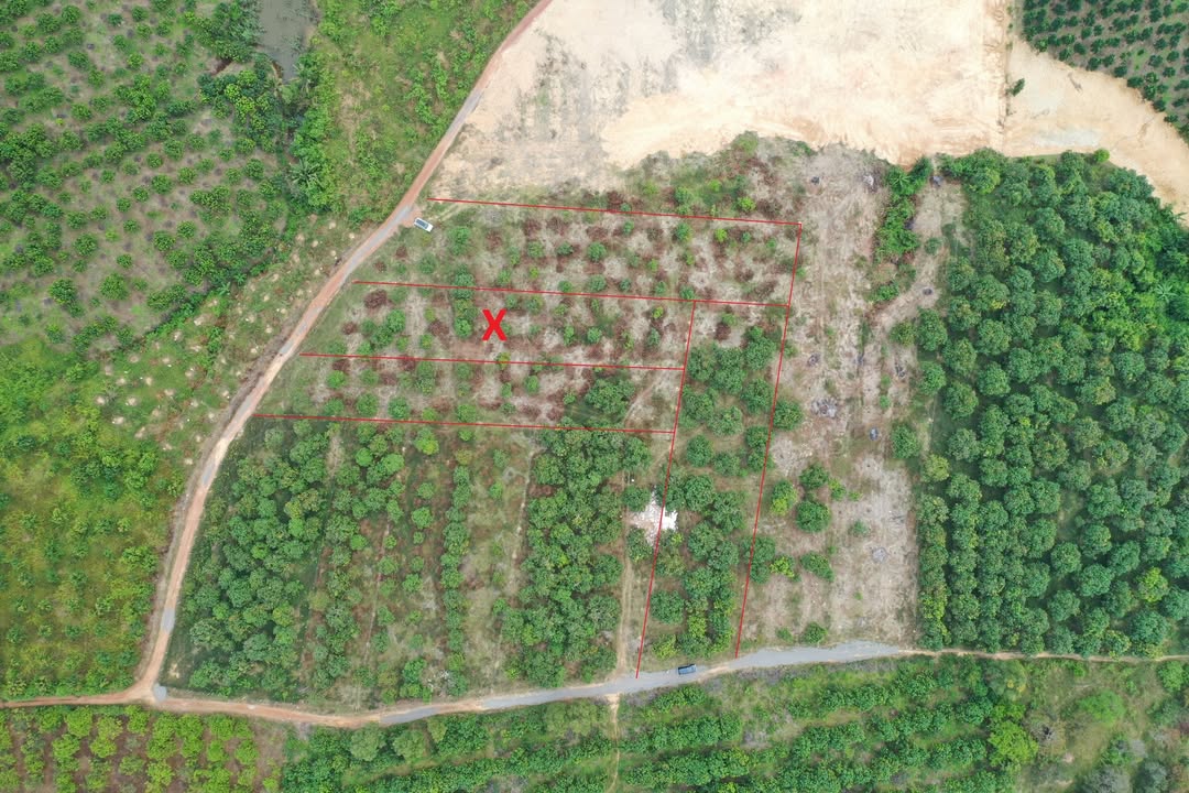 Đất nền Định Quán 1501m² giá 1.2 tỷ - Vị trí đẹp, tiềm năng tăng giá