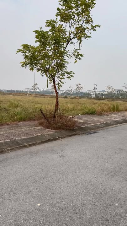 Bán biệt thự Townhouse 380m² tại Phường Tích Sơn, Vĩnh Yên - Giá tốt nhất chỉ 27xx triệu/m²