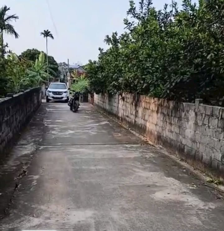 Đất nền Châu Phú Cường, Hưng Yên 100m² - Tiềm năng đầu tư vượt trội!