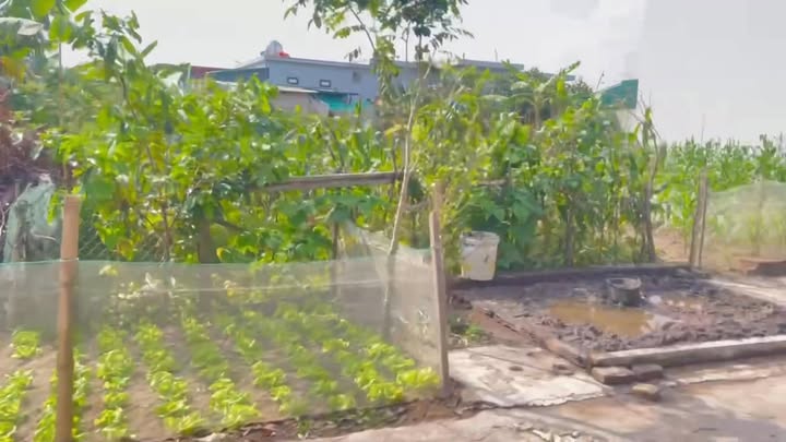 Đất nền xã Nam Hà, Tiền Hải 105,5m² chỉ 700 triệu - Cơ hội đầu tư không thể bỏ lỡ!