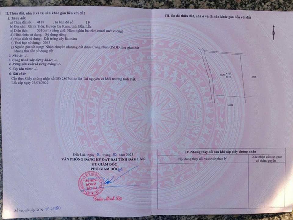 Lô đất 5 sào xã Ea Tiêu, huyện Cư Kuin, Đắk Lắk - Giá 2.385 tỷ, vị trí đẹp, đầu tư sinh lời!