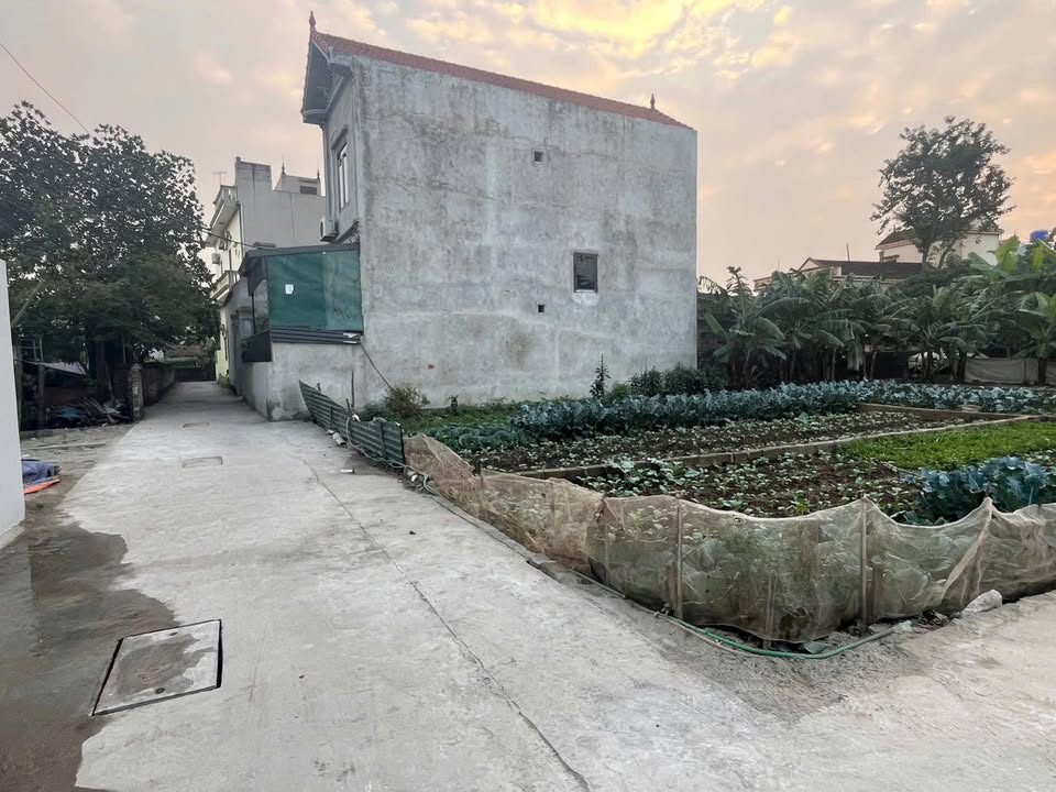 Đất nền góc đẹp tại Tự Nhiên, Thường Tín - Giá chỉ 2.66 tỷ