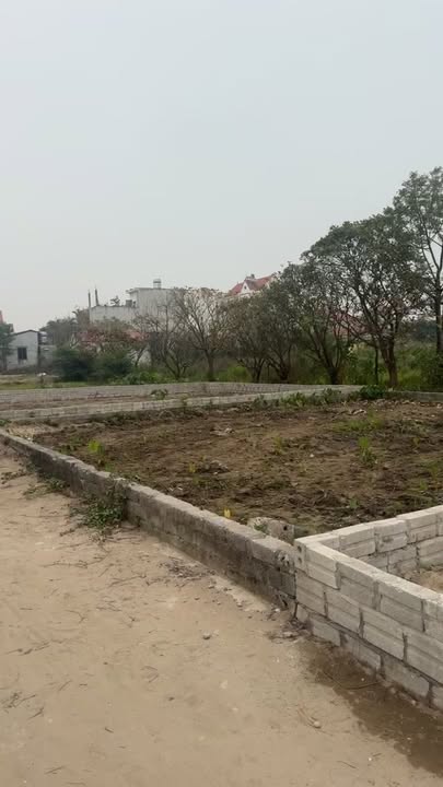 Đất đấu giá Thư Phú 107m² giá thỏa thuận - Mặt tiền ô tô tránh nhau, đầu tư sinh lời!