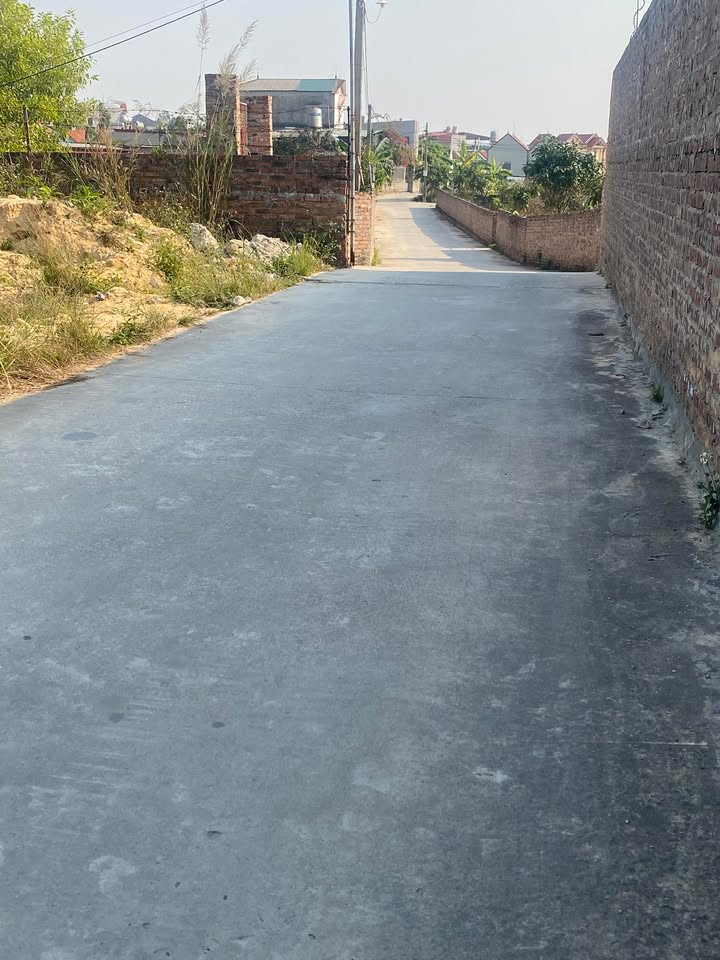 Lô đất 117m² Hữu Bằng, Đào Viên, Quế Võ - Đầu tư sinh lời hấp dẫn!