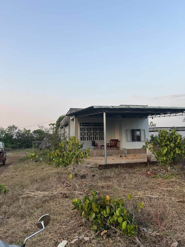 Đất nền xã Xuân Bắc, Đồng Nai 14.000m² giá chỉ 56 tỷ - Đầu tư sinh lời ngay!