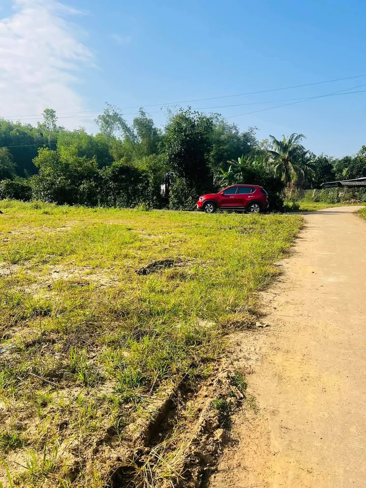 Bán gấp mảnh vườn 890m² tại Thôn Gia Hoà, Mộ Đức - Giá chỉ 980 triệu!