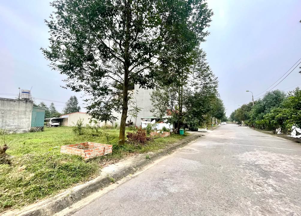 Đất nền đường ô tô tại TP Thanh Hóa 81m² giá 1.x tỷ - Tiềm năng sinh lời cao!