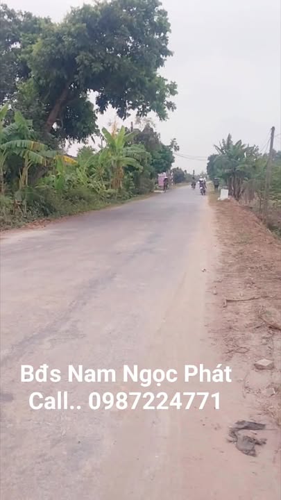 Đất nền liền kề tại Quỳnh Giao, Quỳnh Phụ, Thái Bình - Giá chỉ 1.3 tỷ