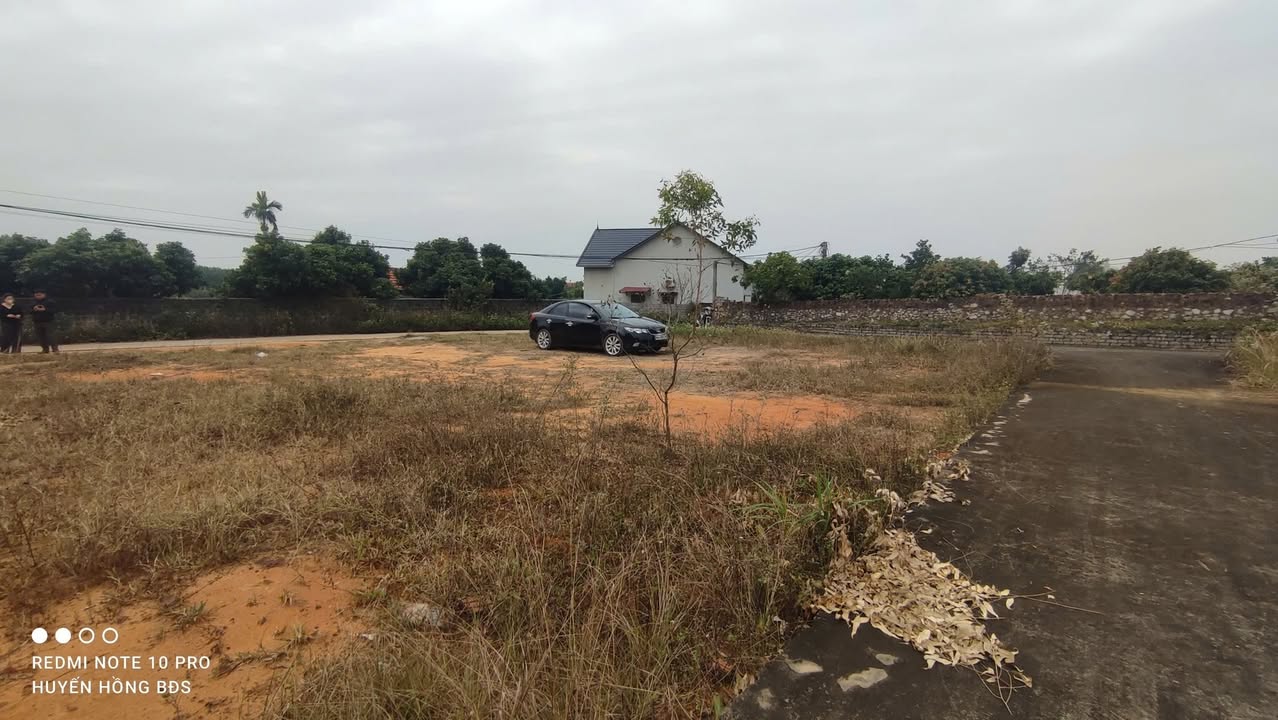 Lô đất chính chủ 120m² tại Lục Nam giá chỉ 800 triệu - Cơ hội đầu tư hấp dẫn!