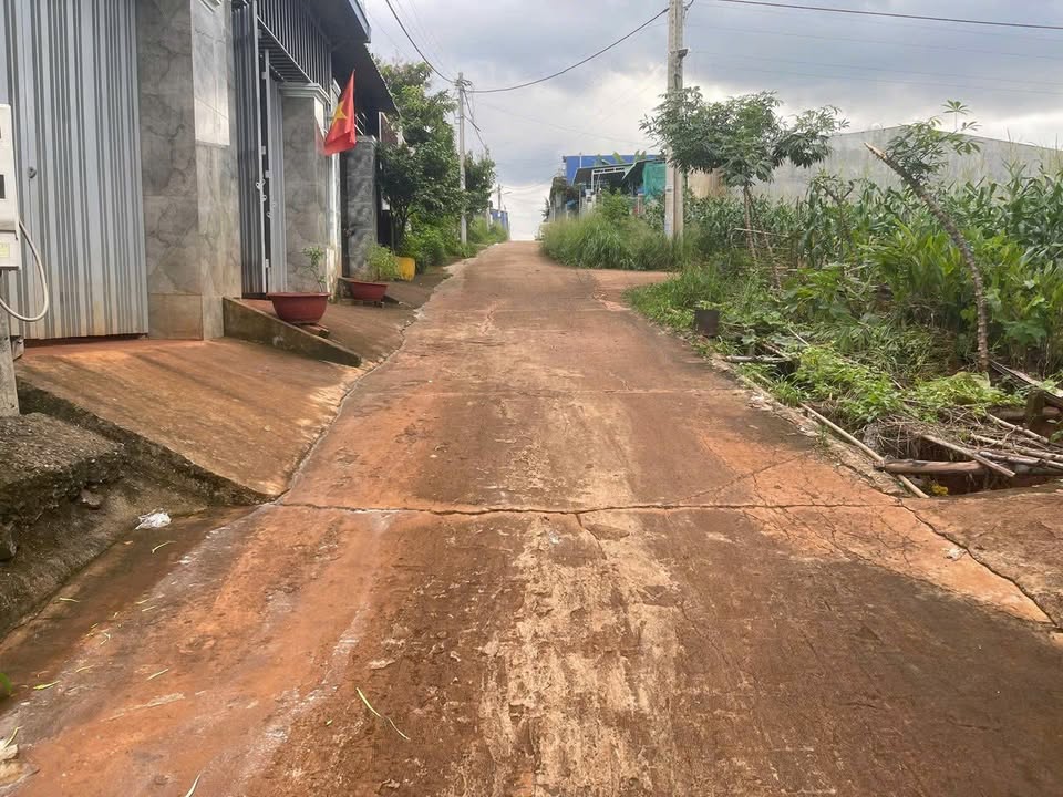 Bán đất thổ cư Khu Nhiên Lý, Long Phước, 200m² chỉ 530 triệu - Cơ hội đầu tư hấp dẫn!