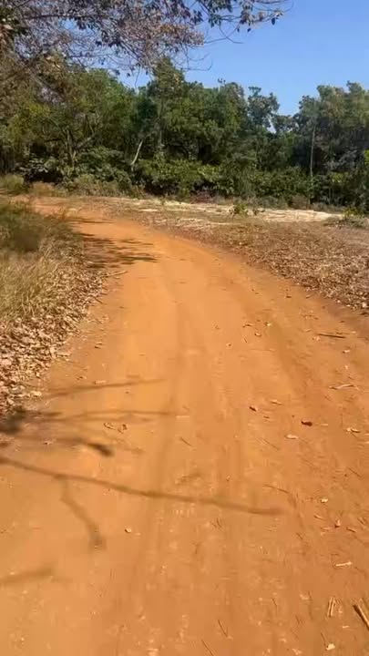 Đất nền 2,5ha tại xã Đak Nhau, Huyện Bù Đăng - Tiềm năng phát triển lớn!