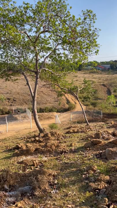 Đất Farm 8.000m² tại Sóc Bom Bo, Bình Phước - Giao lưu ngay!