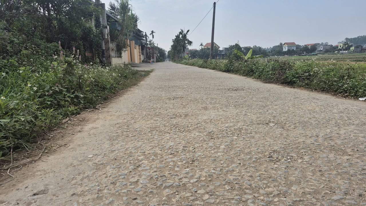 Đất nền Đông Sơn, Bỉm Sơn 115m² giá 8xx triệu - Cần bán gấp để trả nợ!