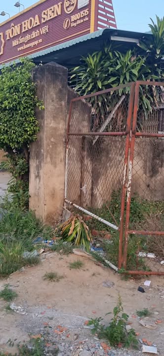 Đất mặt tiền Quốc lộ 1A, Cai Lậy, Tiền Giang 4800m² - Đầu tư sinh lời hấp dẫn!