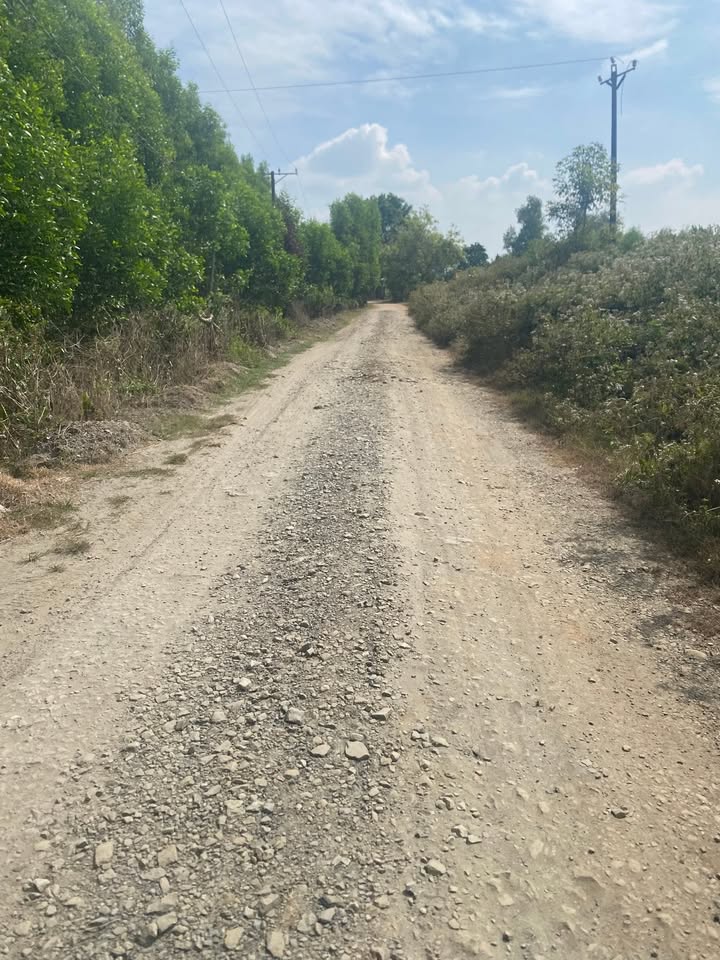 Đất nền Xuân Thành 10800m² giá chỉ 330 triệu - Cơ hội đầu tư tốt!