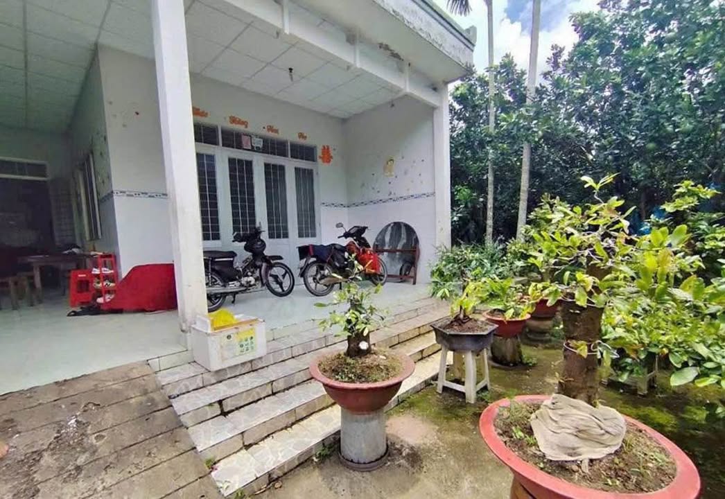 Đất thổ cư 2800m² đường 15m tại Quận Bình Tân - Giá chỉ 245 triệu!