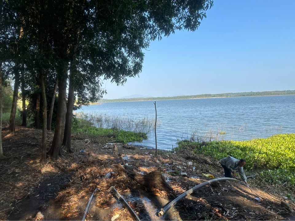 Đất Farm Sông Ray 10.000m² giá 10 tỷ - View hồ tuyệt đẹp