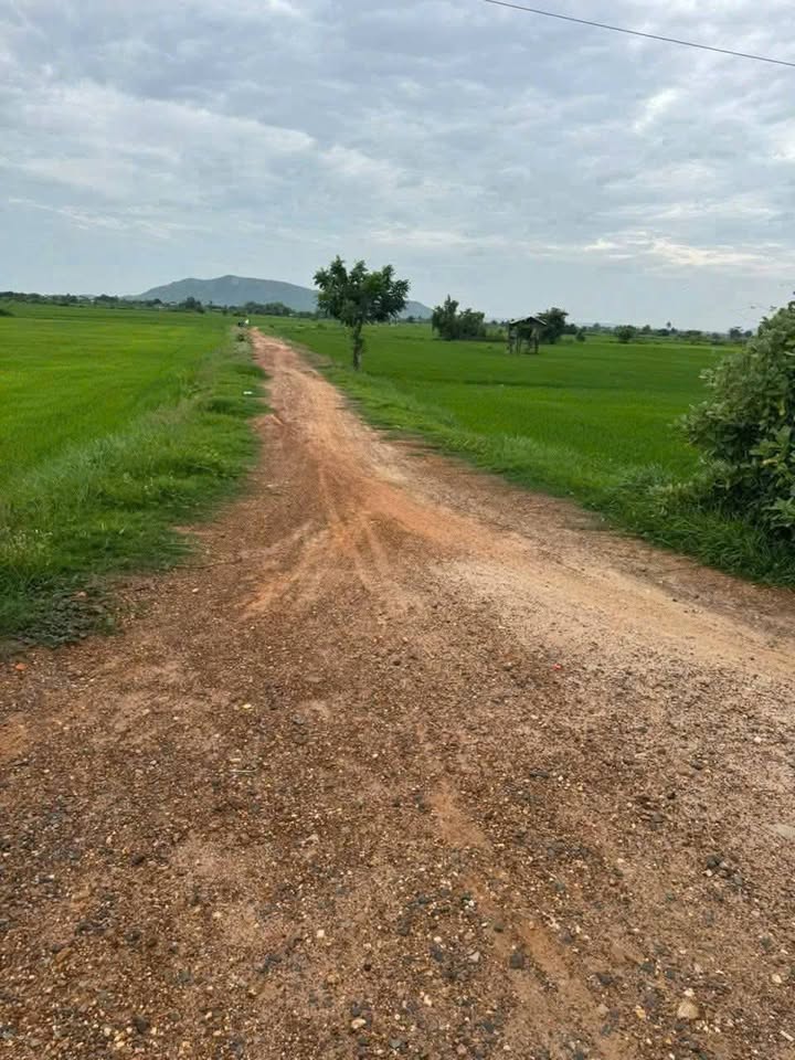 Đất thổ cư 100m² Thôn Phú Điền giá 250 triệu - Cơ hội đầu tư tuyệt vời!