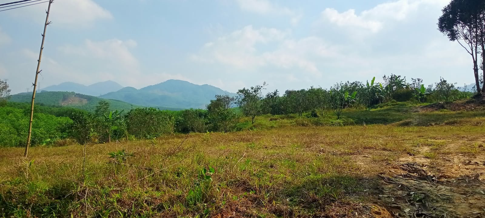 Đất Farm tại Xã Bình Thành, Thị xã Hương Trà, 1ha - Đầu tư trang trại lý tưởng!