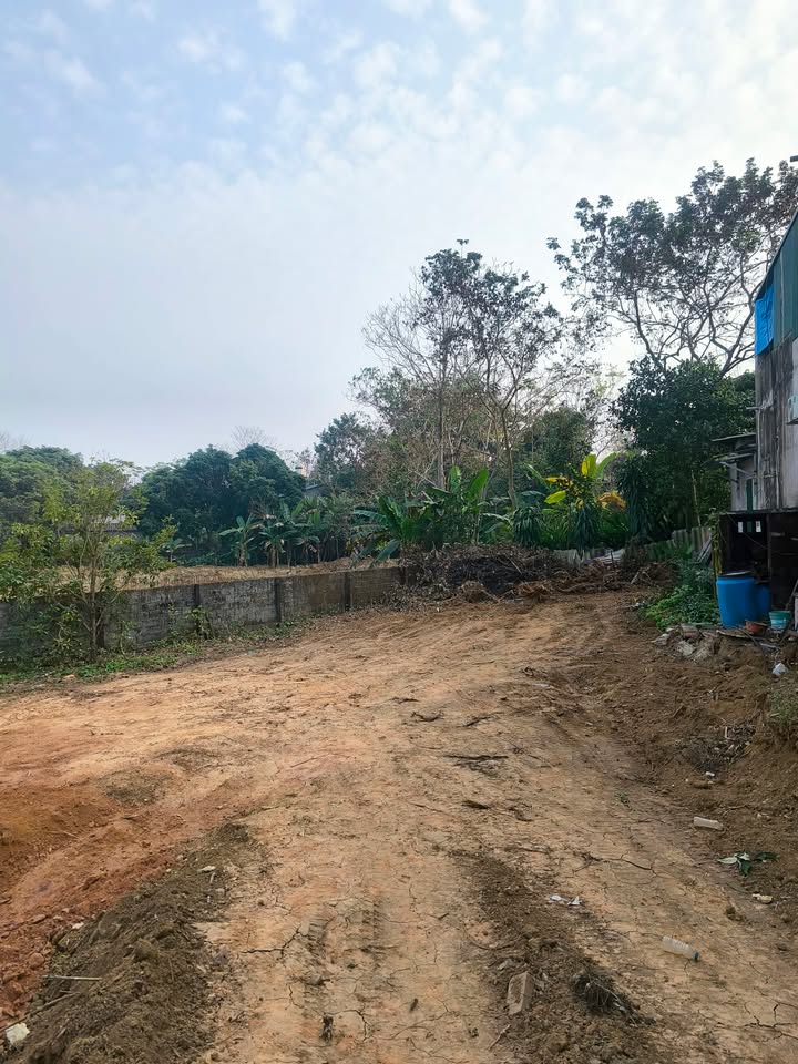 Đất nền TDP10, Kim Phú, 50m² - Giá chỉ từ 700 triệu - Cơ hội đầu tư tốt!