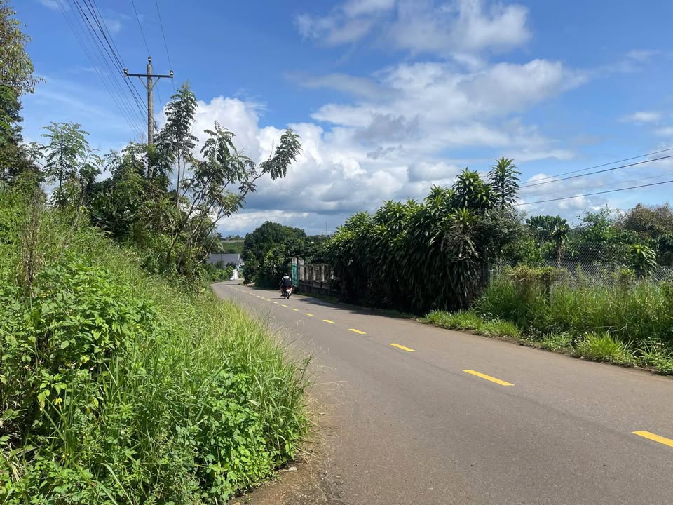 Nhà cấp 4 mặt tiền QL20 Tứ Quý Lộc An 1162m² giá 3.2 tỷ - Đầu tư sinh lời tốt!