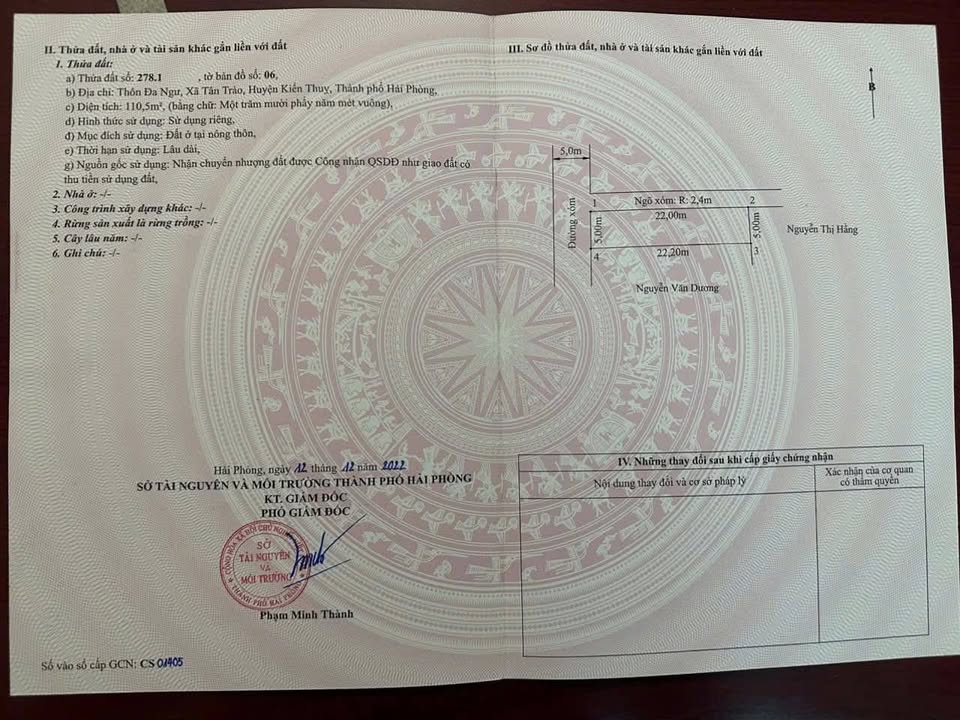 Đất dự án thôn Đa Ngư - Xã Tân Trào 110m² giá 2.x tỷ - Lô góc siêu đẹp, đón đầu Cụm Công Nghiệp!