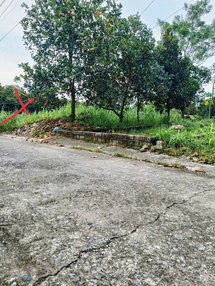 Đất nền 90m² tại Thôn Thủ Trung, Sơn Tây - Giá chỉ 1 tỷ - Chính chủ bán gấp!