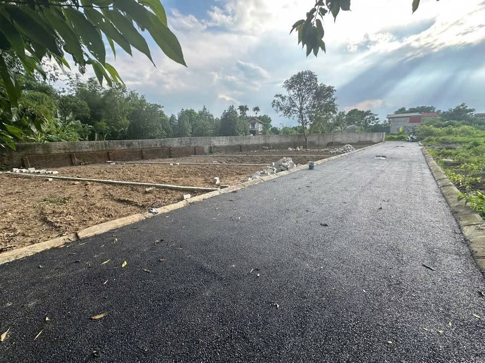 Đất thổ cư thôn 8 Tân Xã 100m² giá 3 tỷ - Cơ hội đầu tư hấp dẫn!