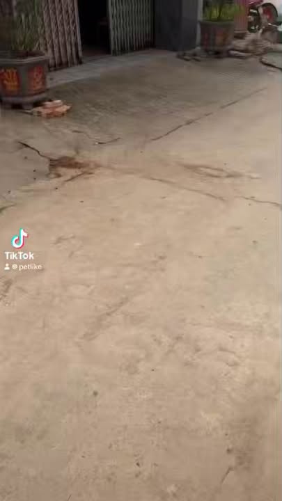 Nhà Đang Xây 63,7m² tại Trường ĐH Sư Phạm Xuân Hoà, Phúc Yên - Thiết Kế Hiện Đại, Đầu Tư Sinh Lời!