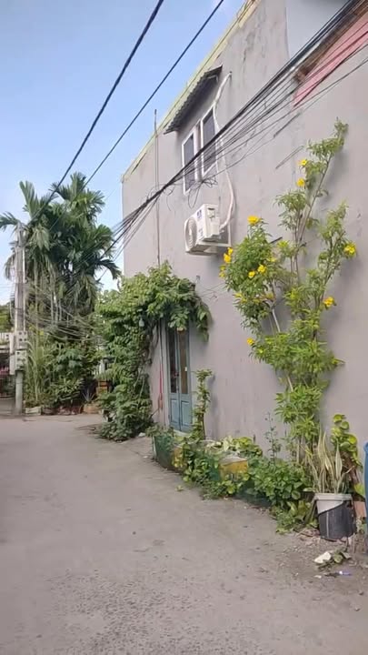 Đất thổ cư Vĩnh Phú - Thuận An 118.95m² giá 3,5 tỷ - Cơ hội đầu tư tuyệt vời!