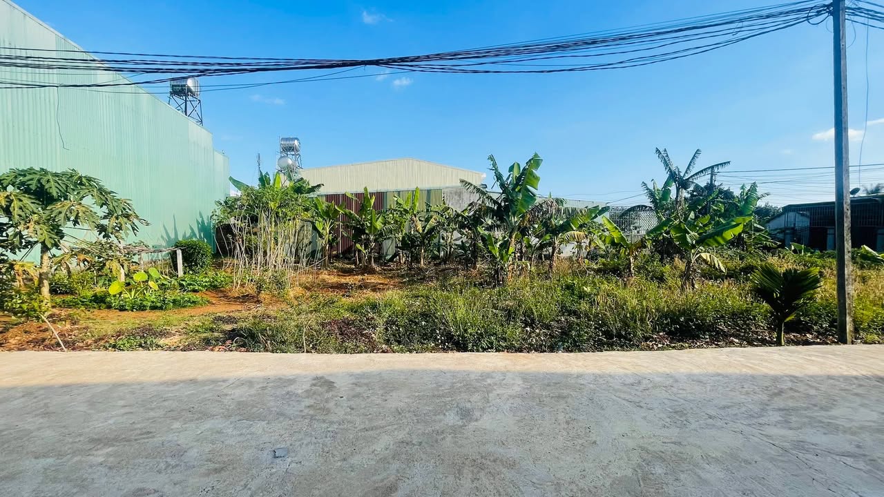 Đất nền liền kề Hẻm 123 Lạc Long Quân 798m² giá 7 tỷ - Đầu tư sinh lời tiềm năng!