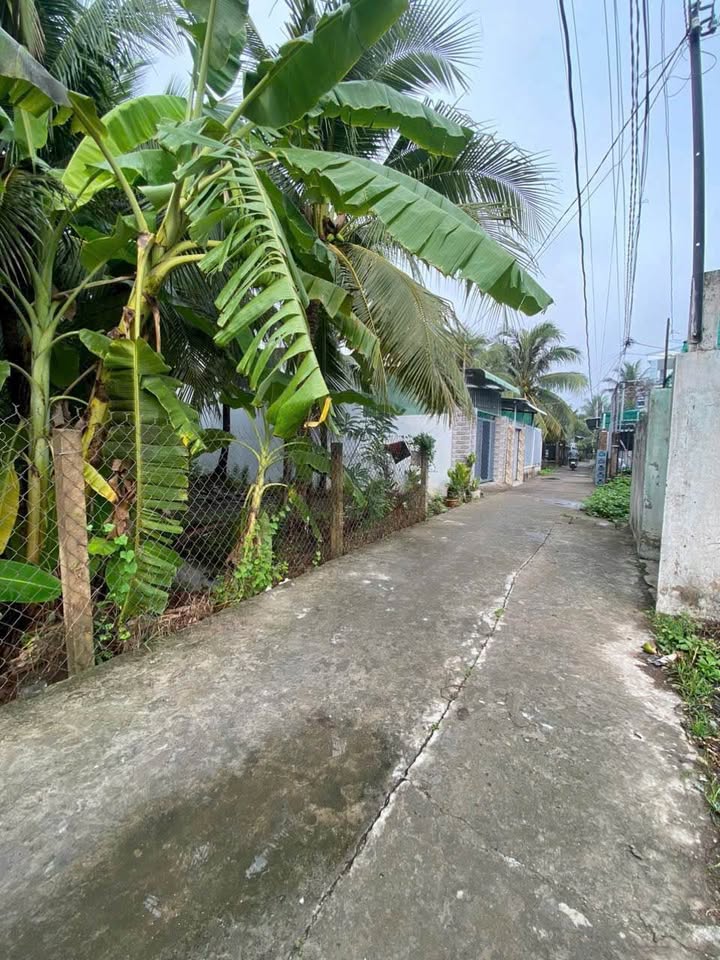 Đất nền Xã Mỹ Phong 98m² giá 645 triệu - Đầu tư tuyệt vời cho tương lai!