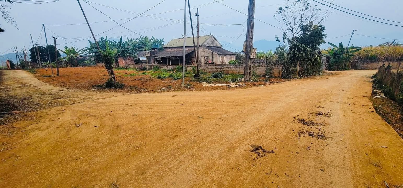 Đất nền xã Dũng Phong, 539m² giá chỉ 500 triệu - Cơ hội đầu tư sinh lời!