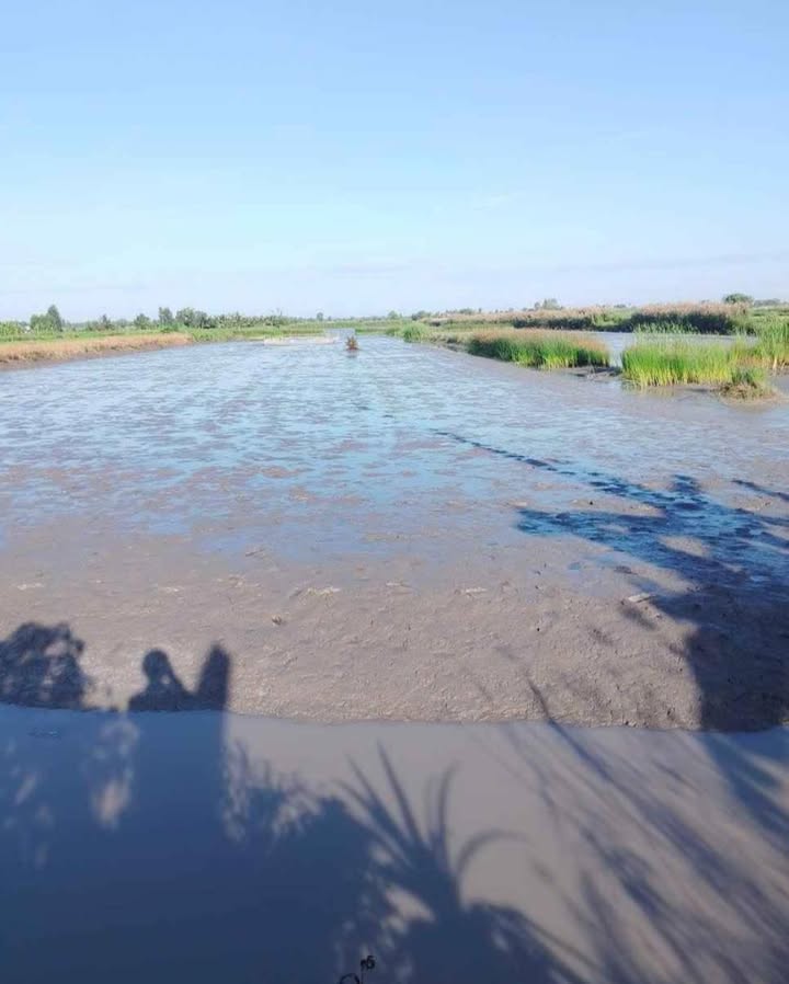 Đất Farm 30 công tại Tân Bằng, Cà Mau - Giá 31.5 tỷ, Tiềm năng sinh lời cao!