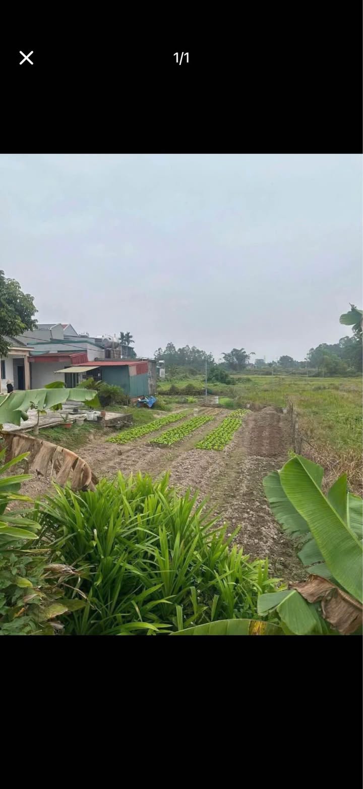 Đất nền Ninh Dương Móng Cái 170m² giá 7 tỷ - Cơ hội đầu tư hiếm có!